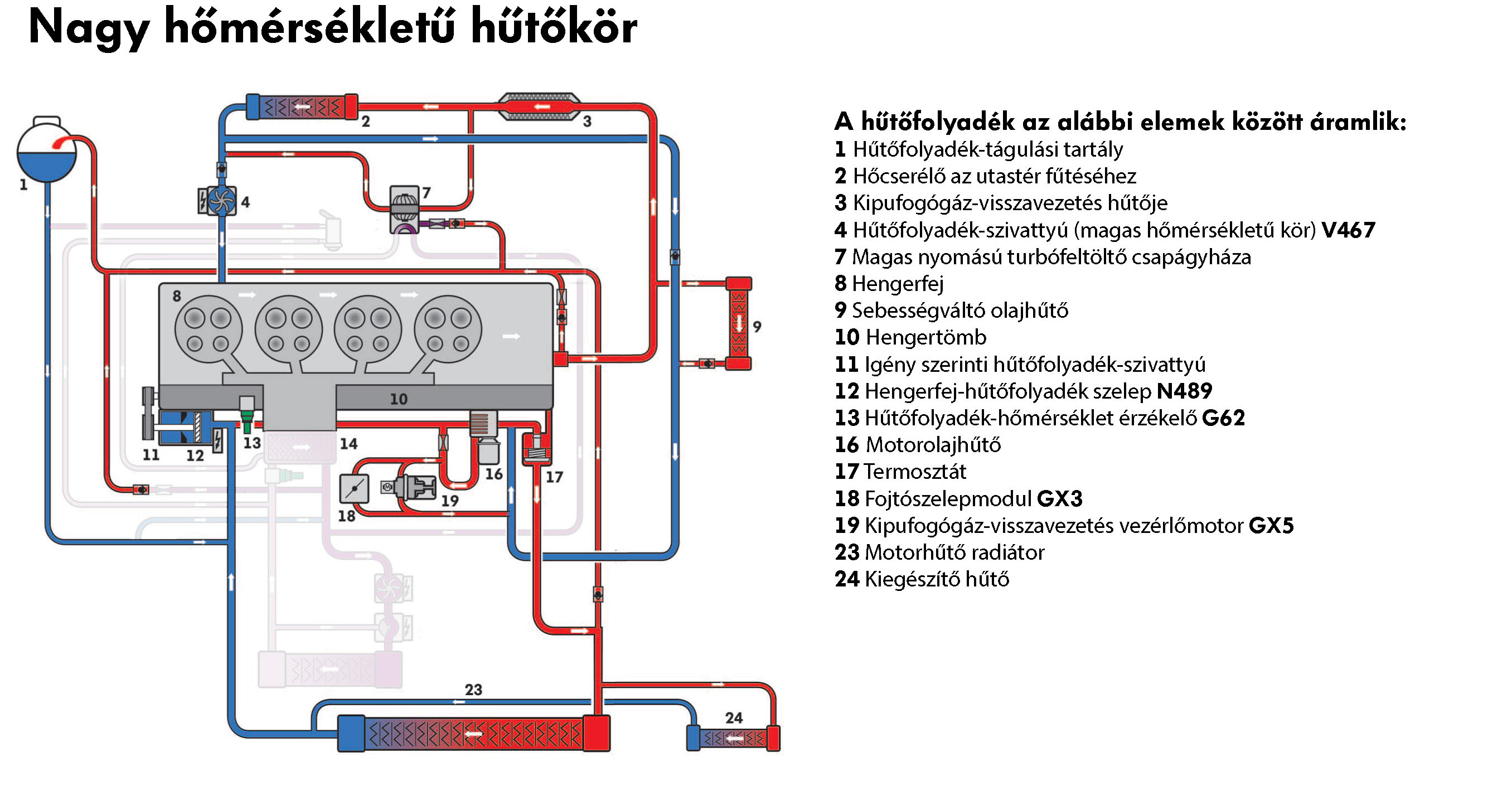Nagy hőmérsékletű kör